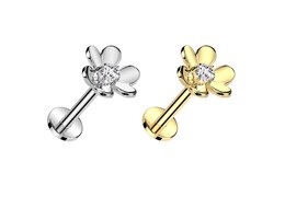 Безрезьбовой лабрет фаленопсис Безрезьбовой лабрет фаленопсис