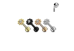 Лабрет аврора